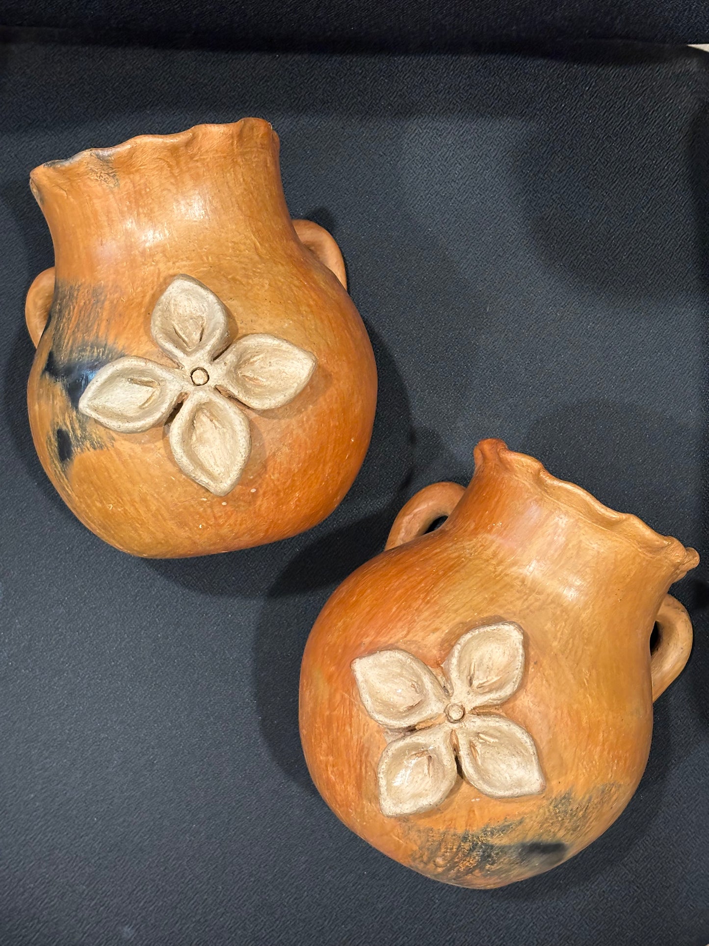 Doña Techo Maceta