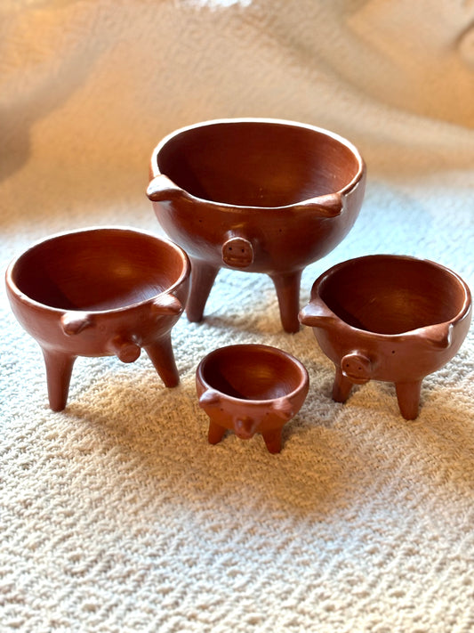 Familia de Puerquitos