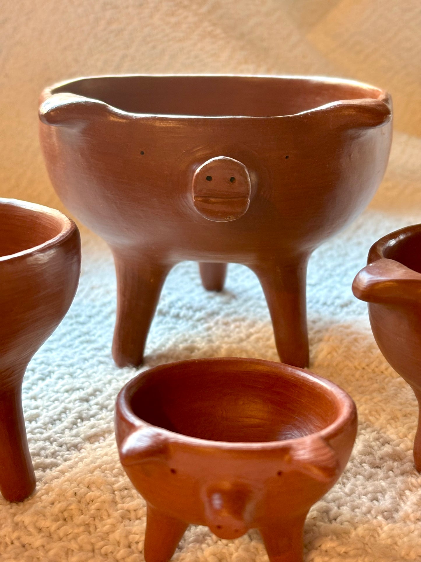 Familia de Puerquitos
