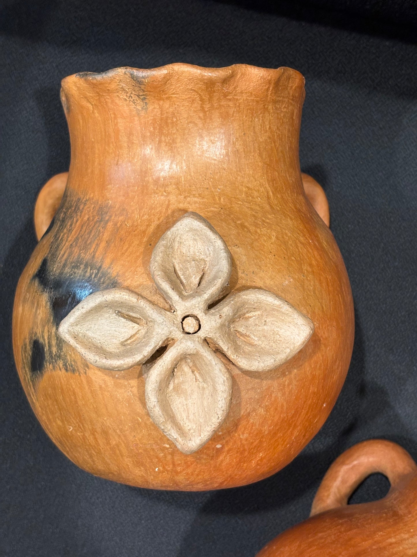 Doña Techo Maceta
