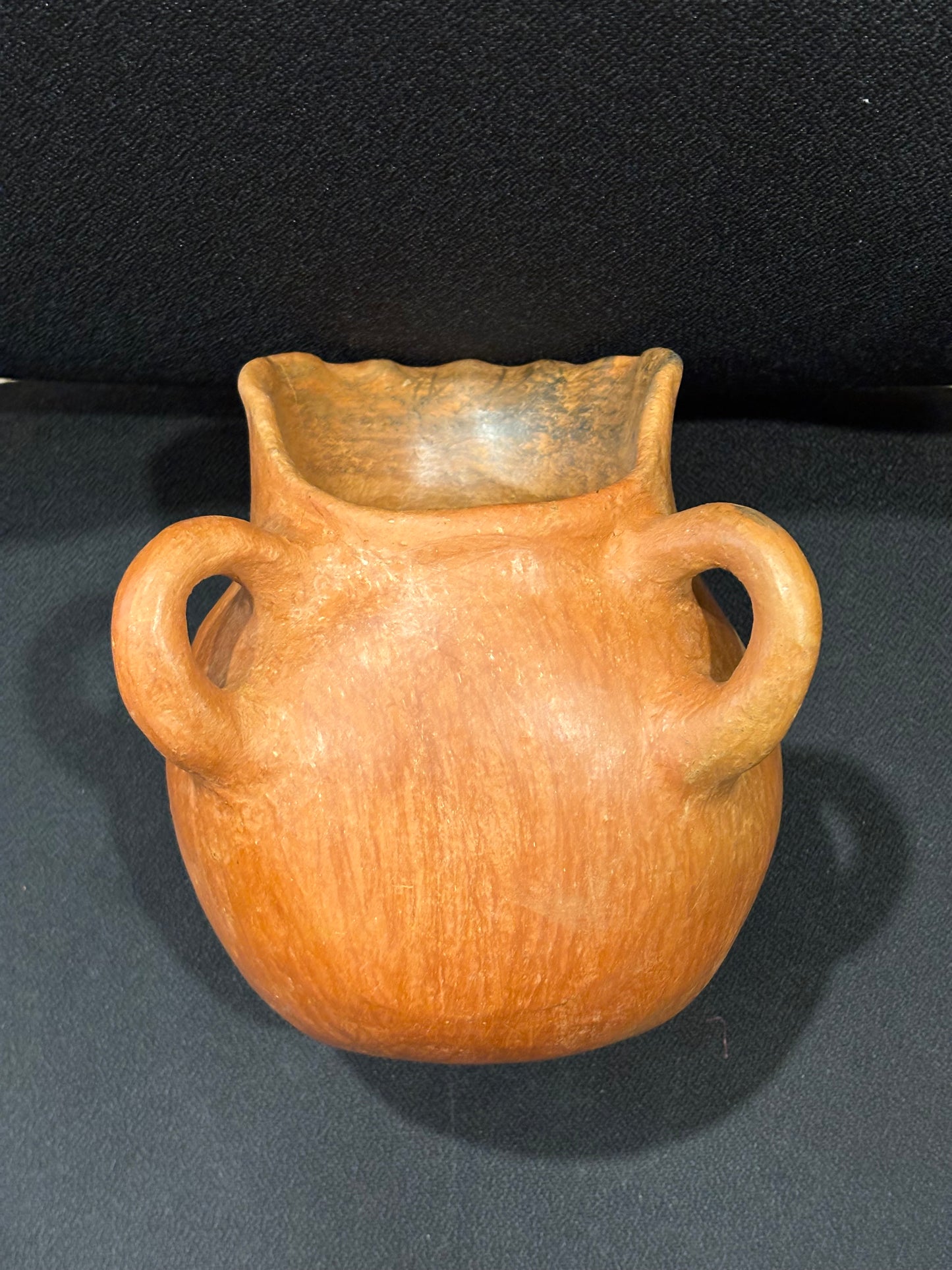 Doña Techo Maceta