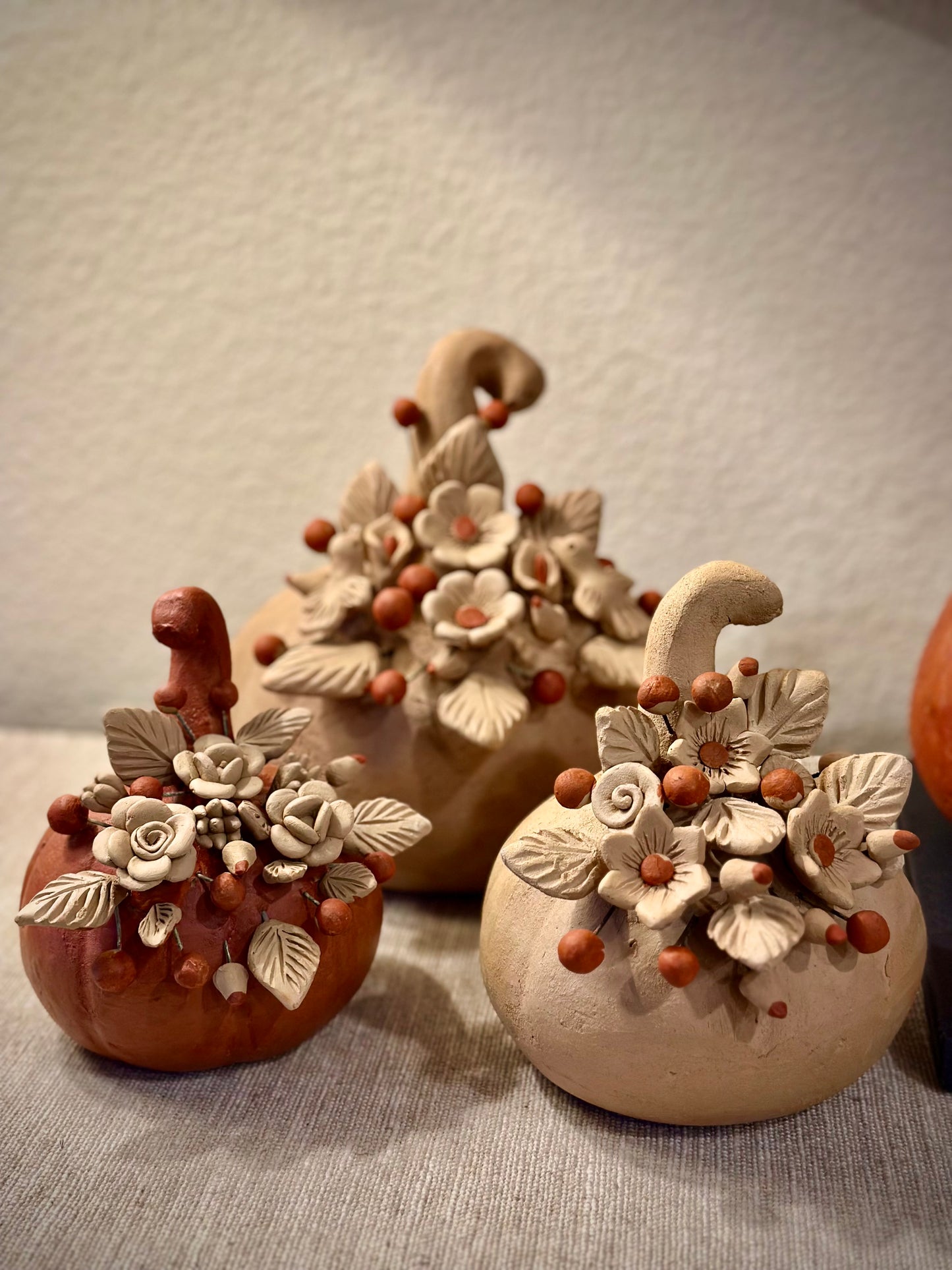 Colores del Suelo Pumpkins