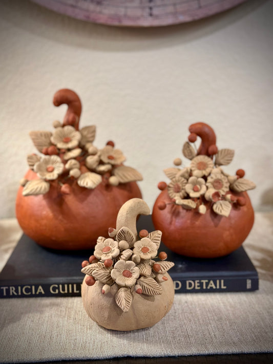 Colores del Suelo Pumpkins