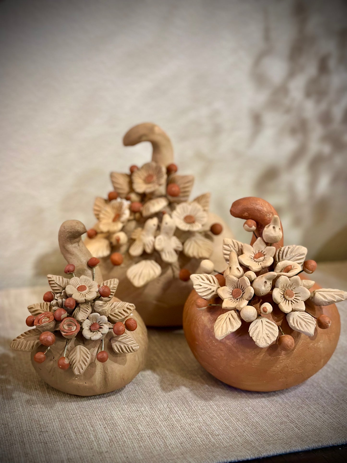 Colores del Suelo Pumpkins