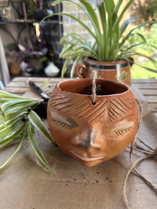 Doña Niche Maceta